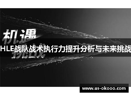 HLE战队战术执行力提升分析与未来挑战