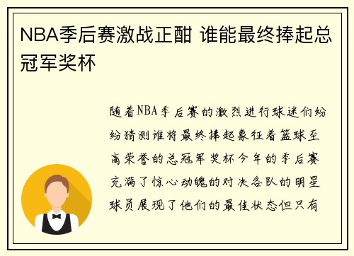 NBA季后赛激战正酣 谁能最终捧起总冠军奖杯