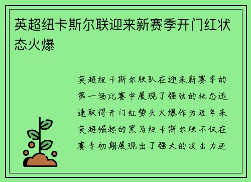 英超纽卡斯尔联迎来新赛季开门红状态火爆
